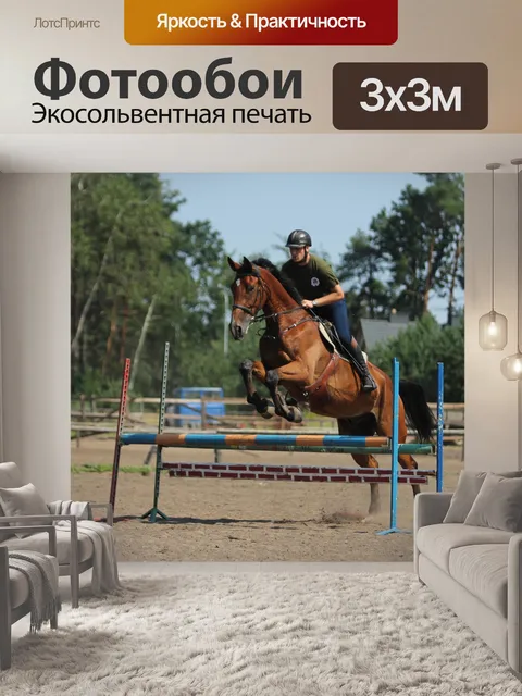 Фотообои Лошади