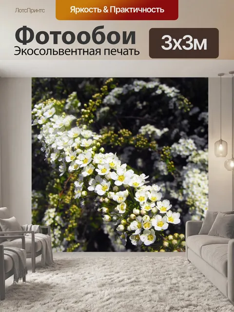 Фотообои Белые цветы