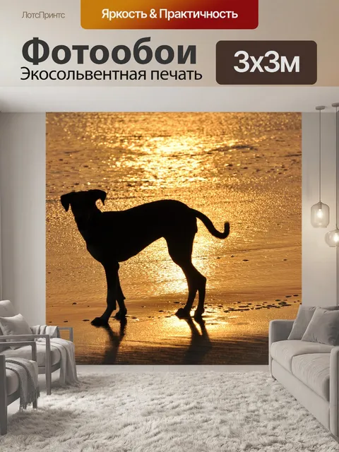 Фотообои Собака