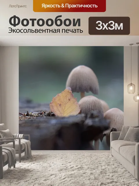 Фотообои Mushroom