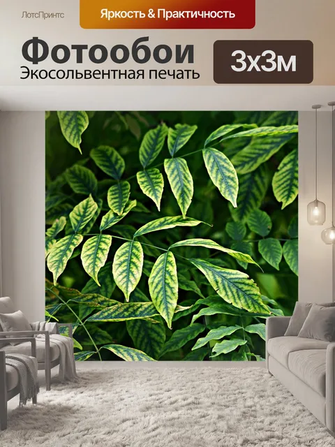 Фотообои Листья