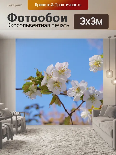 Фотообои Сакура