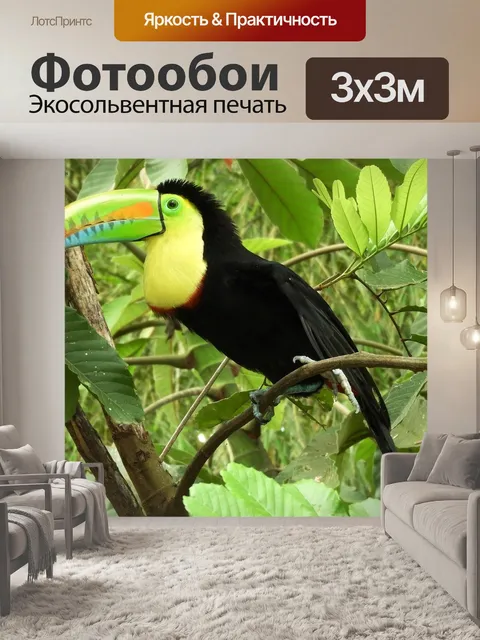 Фотообои Птица