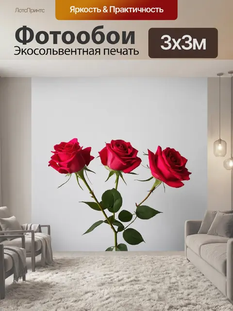 Фотообои розы в стиле минимализм