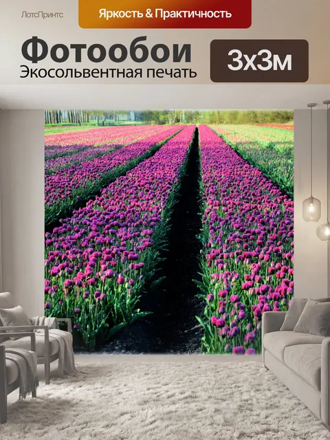 Фотообои Тюльпаны поле 3