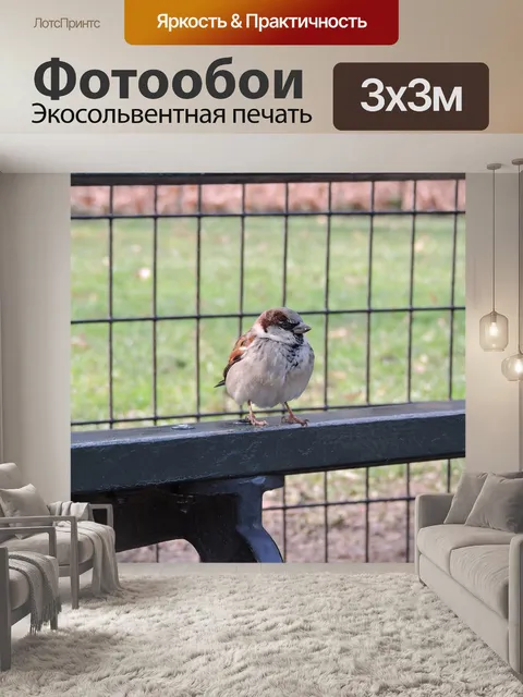Фотообои Птица