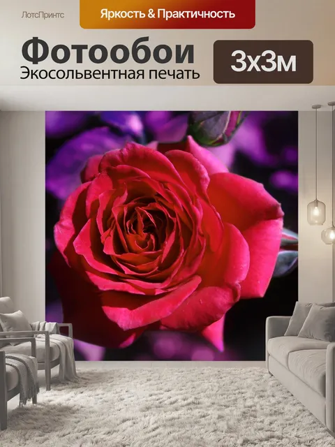 Фотообои Роза