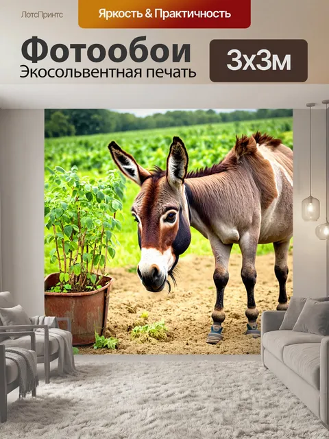 Фотообои забавный осел, работающий на ферме как фермер, заботится о своих растениях и животных