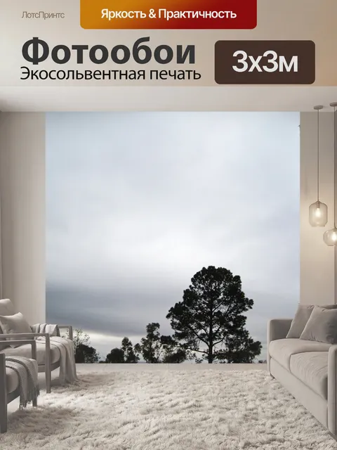 Фотообои силуэт высокой сосны