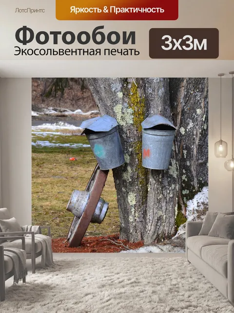 Фотообои Кленовый сироп