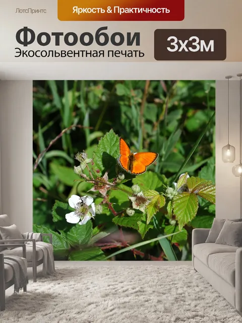 Фотообои Бабочка