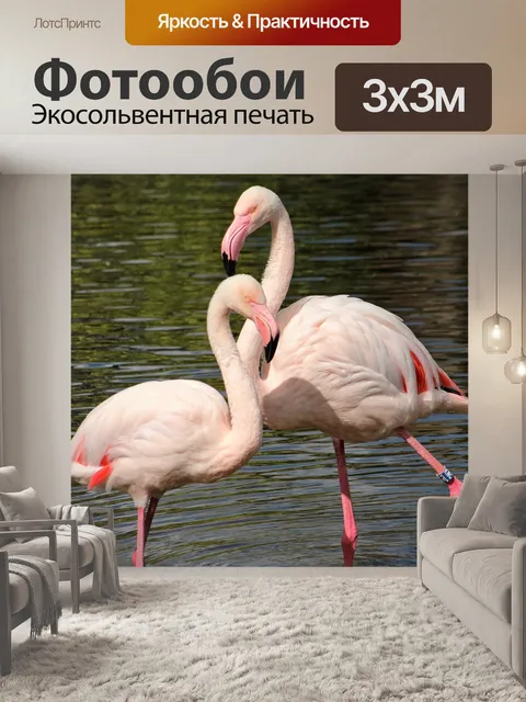 Фотообои Фламинго