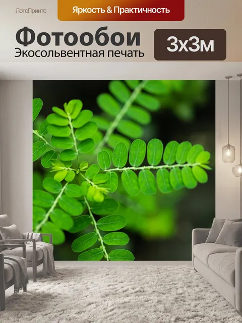 Фотообои Листья