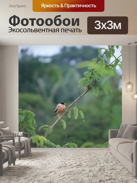 Фотообои Птица