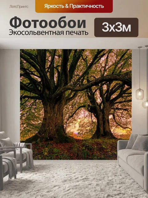 Фотообои Деревья