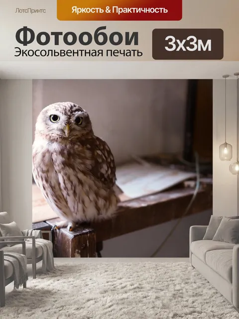Фотообои Сова