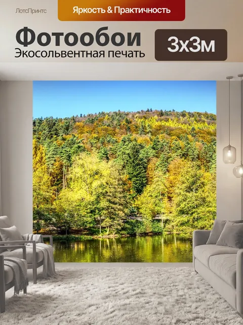 Фотообои Деревья