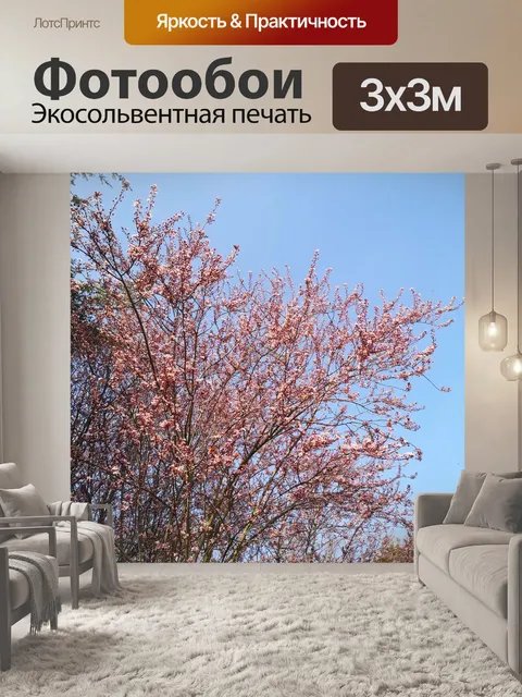 Фотообои Вишни в цвету