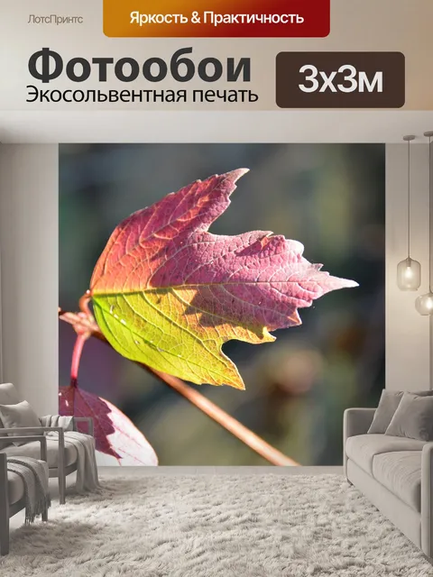 Фотообои Падение
