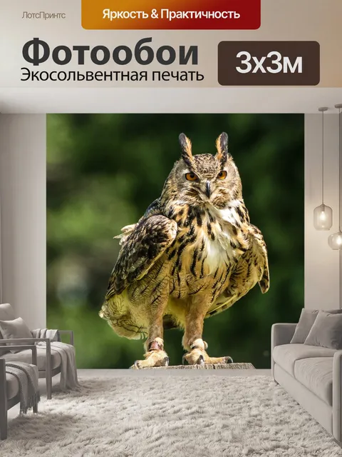 Фотообои Евразийский филин