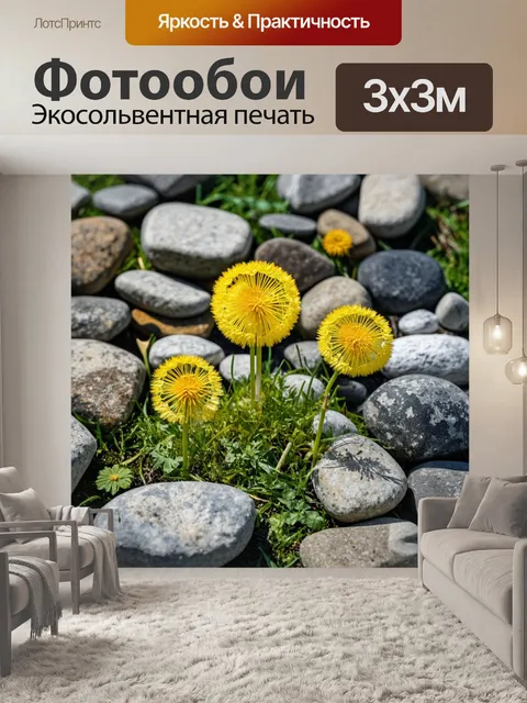 Фотообои одуванчики, которые растут среди камней, символизируя стойкость и нежность природы