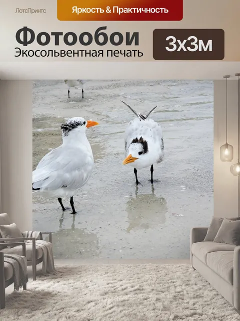 Фотообои Прибрежный