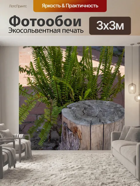 Фотообои Пень и папоротник