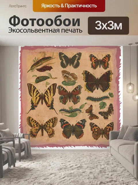 Фотообои старинная бабочка гусеница