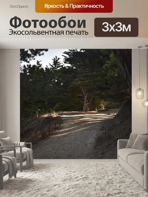 Фотообои Путь в лесу