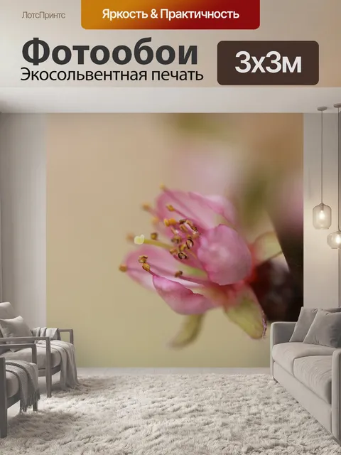 Фотообои Цвести