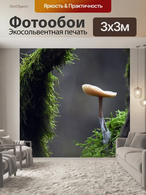 Фотообои Лес