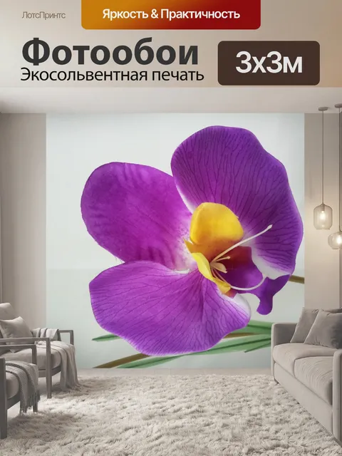 Фотообои Fade цветок орхидеи фиолетовый