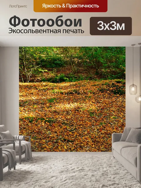 Фотообои Лес