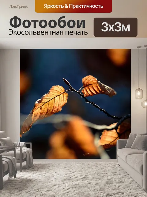 Фотообои Падение