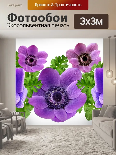Фотообои Анемоны