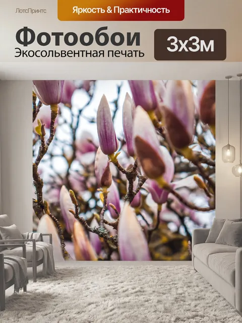Фотообои Магнолии