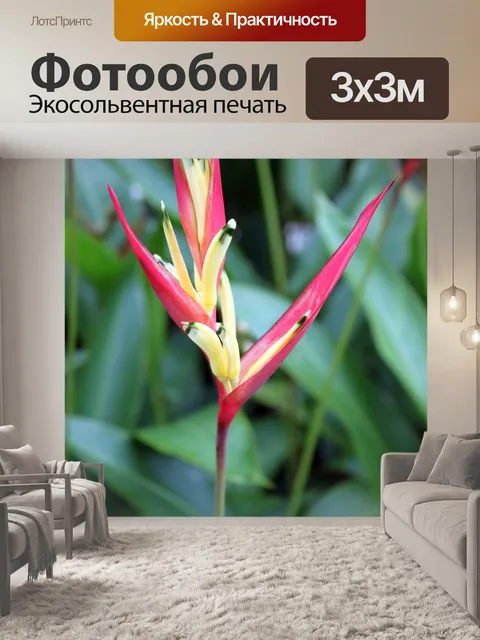 Фотообои Phoenix цветок