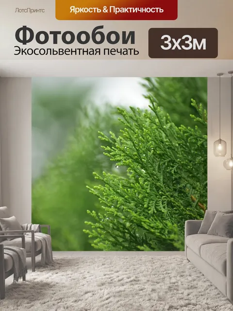 Фотообои Туманный