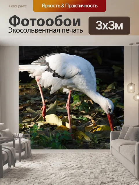 Фотообои Аист