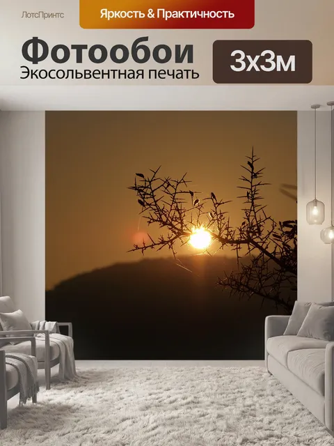 Фотообои Восход солнца