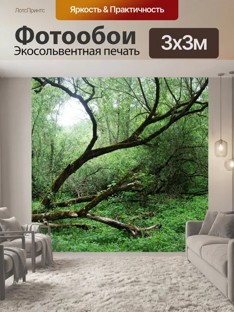 Фотообои Старые деревья в парке