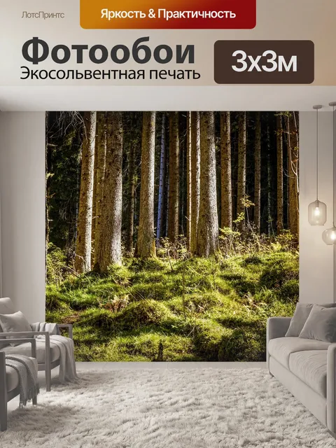 Фотообои Лес
