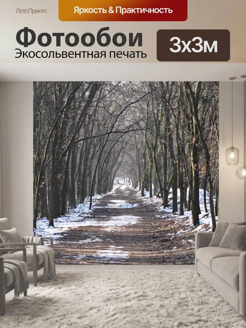 Фотообои Лес