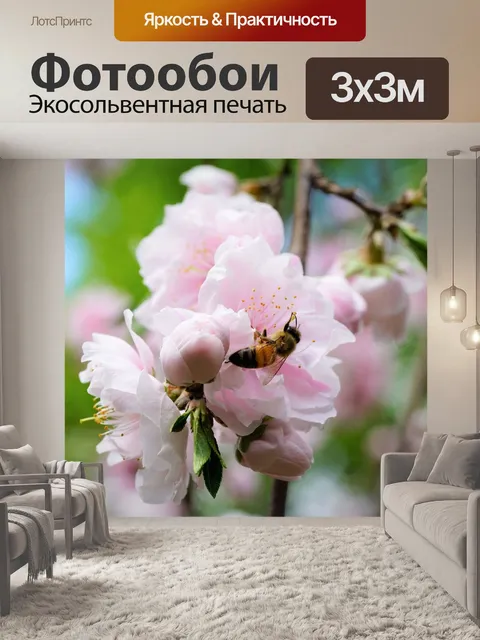 Фотообои Цветок