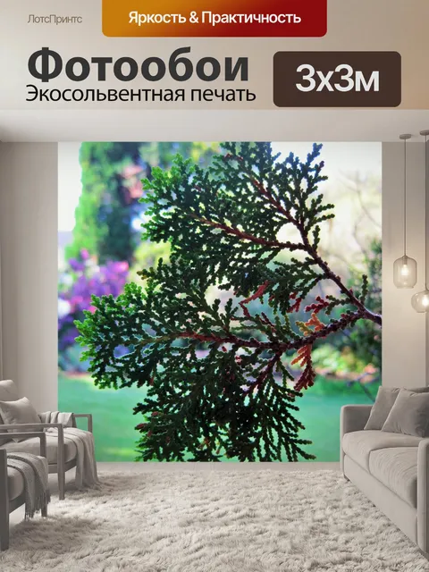 Фотообои веточка зеленого кружева