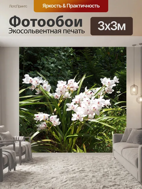 Фотообои Белые цветы
