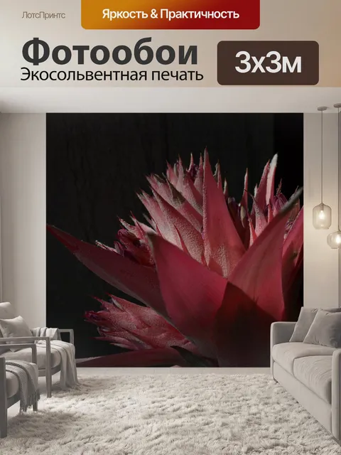 Фотообои Цветы