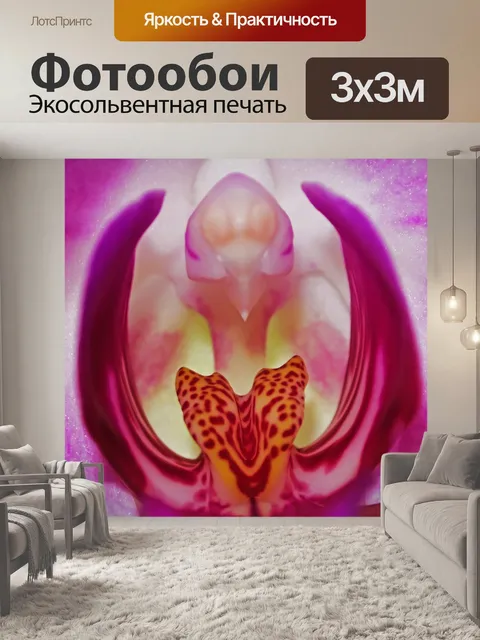 Фотообои Орхидея - Макро