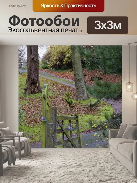 Фотообои Лейн Через Woodland