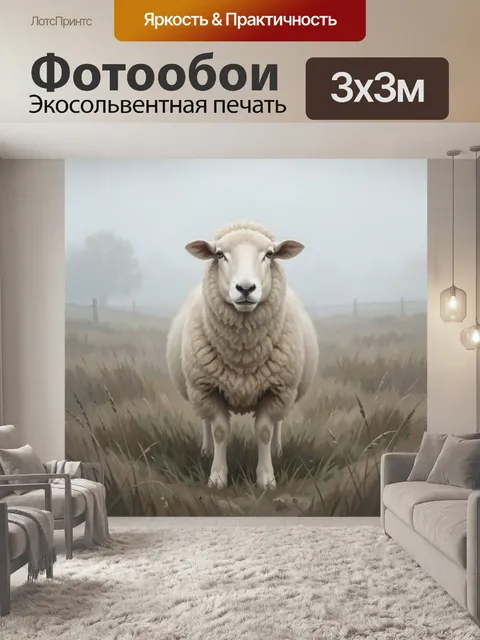 Фотообои Овца на туманном пастбище